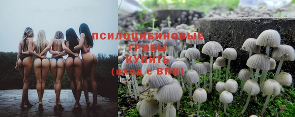 винт Алексеевка